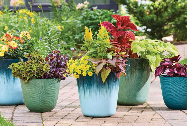 5 spring plant and planter combos that instantly brighten your outdoor space