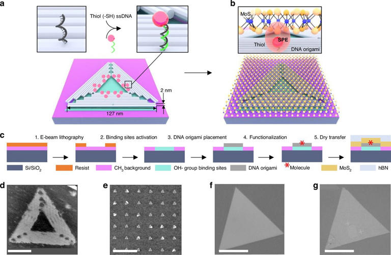 DNA origami precisely positions single-photon emitters for quantum ...