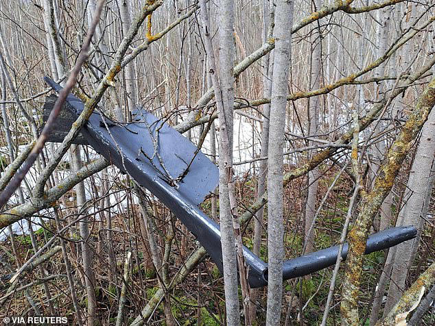 Two Ukrainian drones stray into Estonia and Latvia, with one hitting a ...