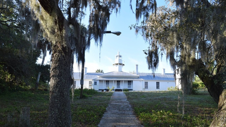 A walkway leads up to a beautiful white lighthouse on Cedar Key island.