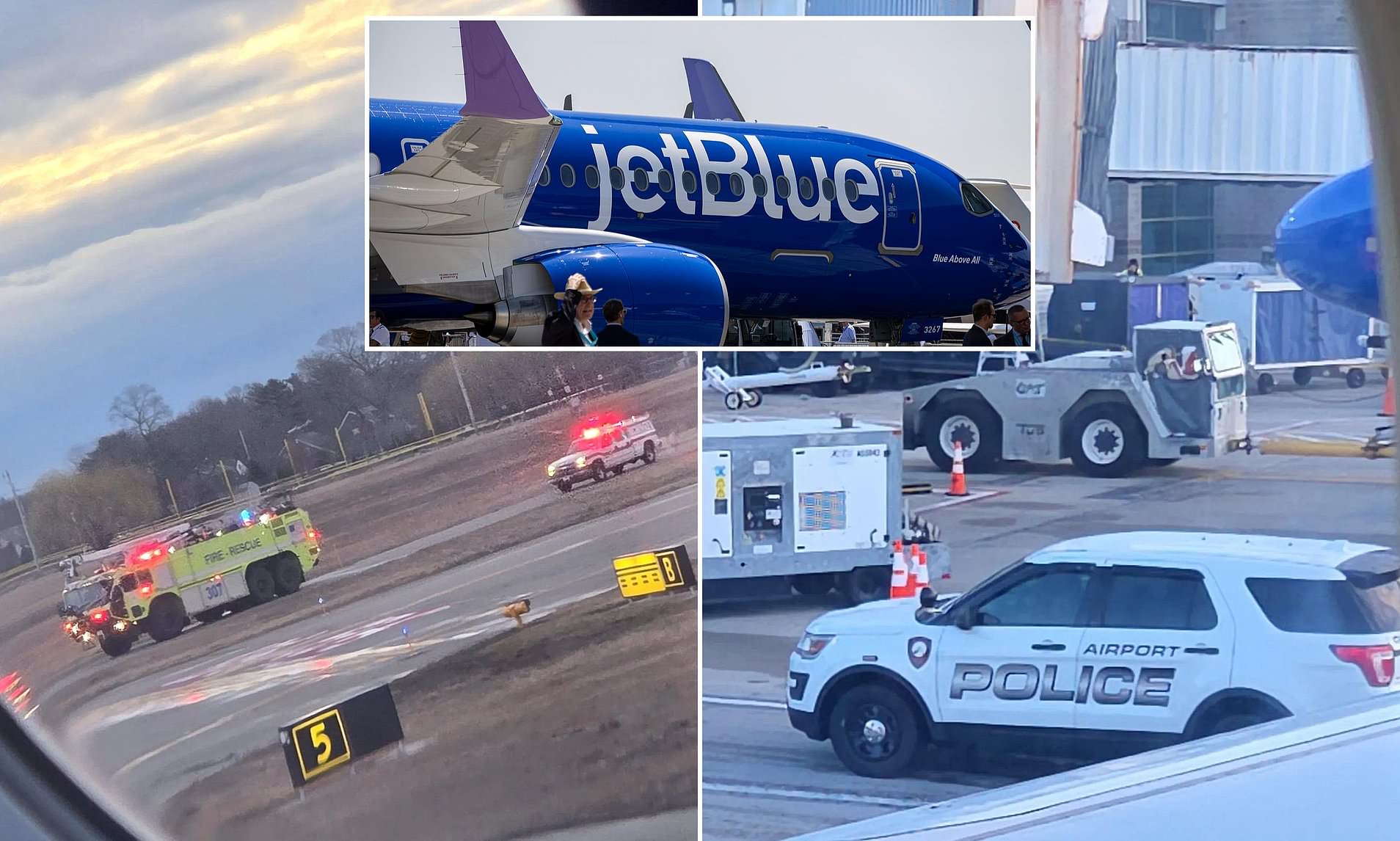 JetBlue flight forced to make emergency landing after striking coyote ...