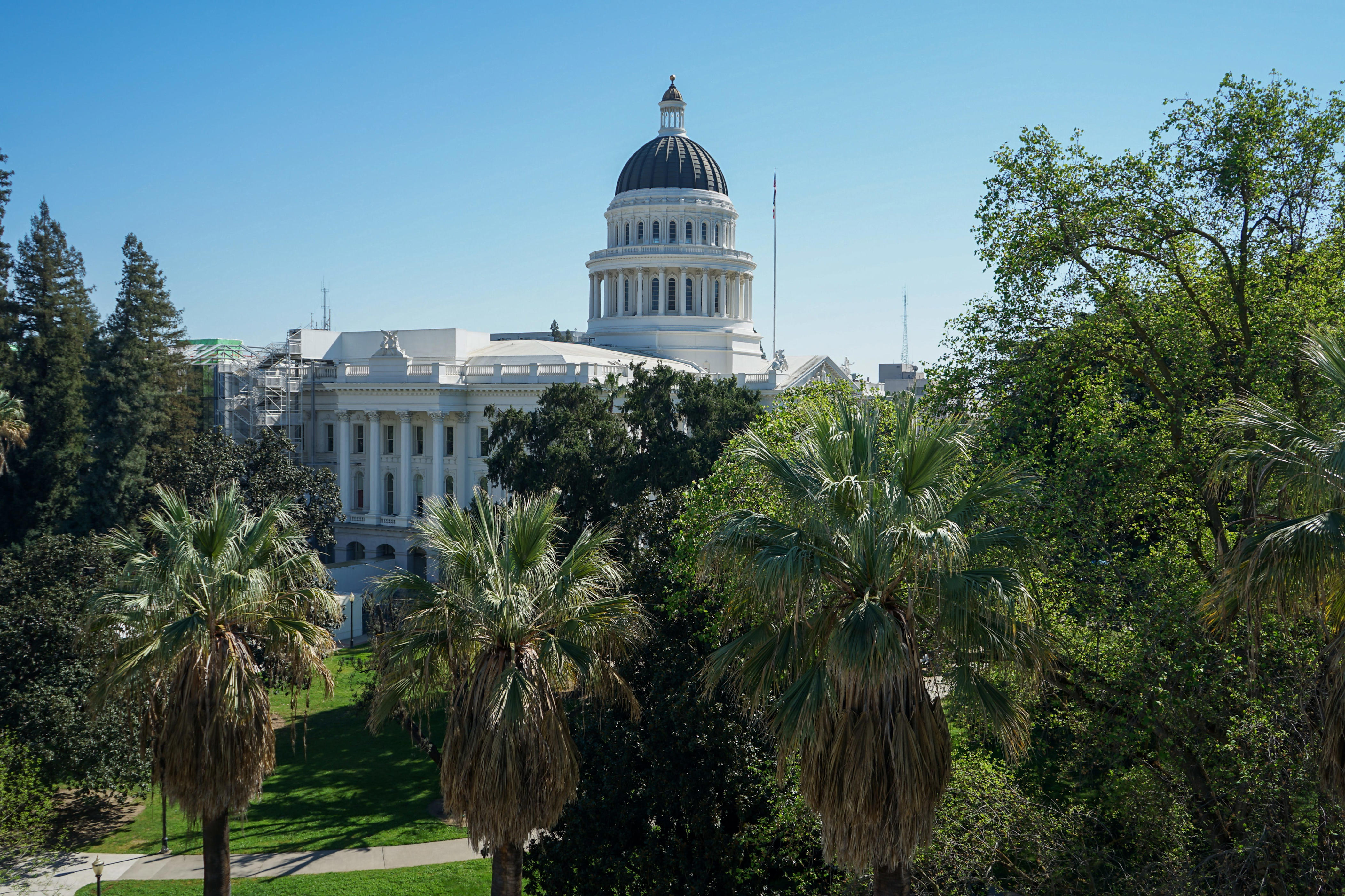 Republicans leading in new California governor primary poll
