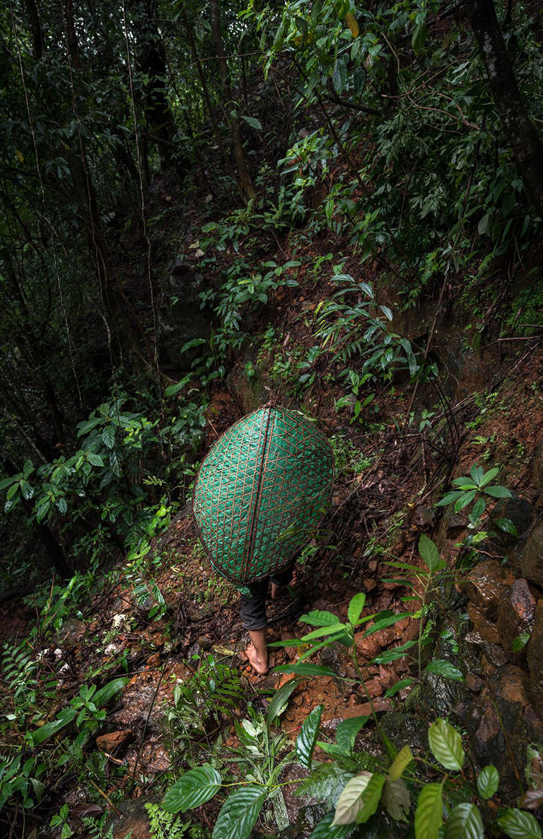 In one of the wettest places on the planet, indigenous people build ...