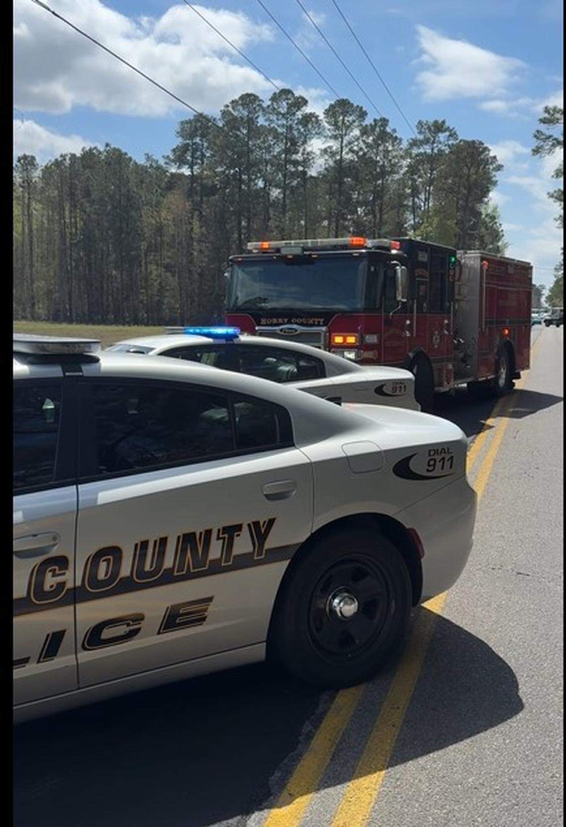 Driver dies after vehicle strikes tree on SC 701 in Loris. Coroner ...