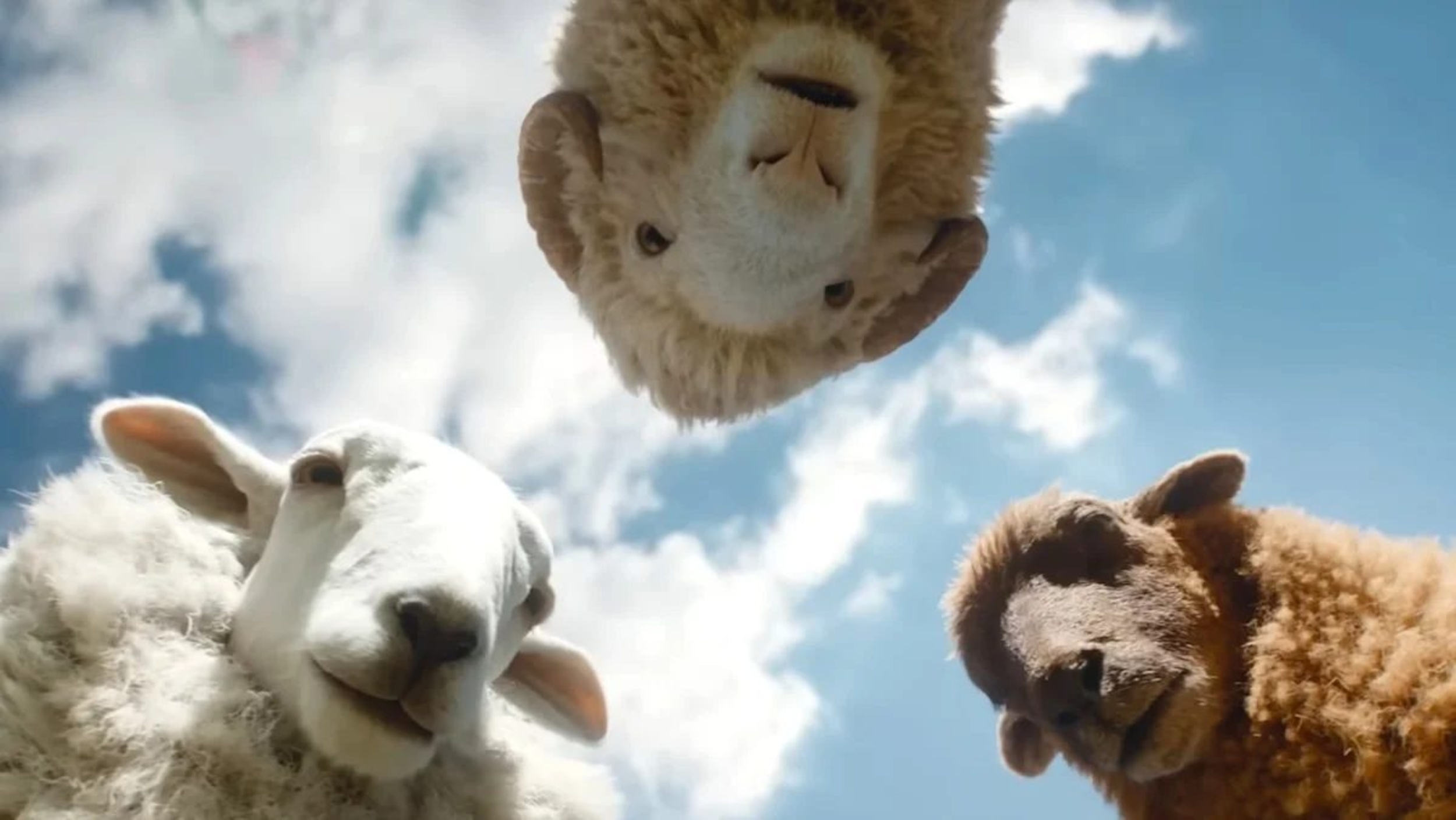 Animals try to solve Hugh Jackman's murder in 'The Sheep Detectives ...