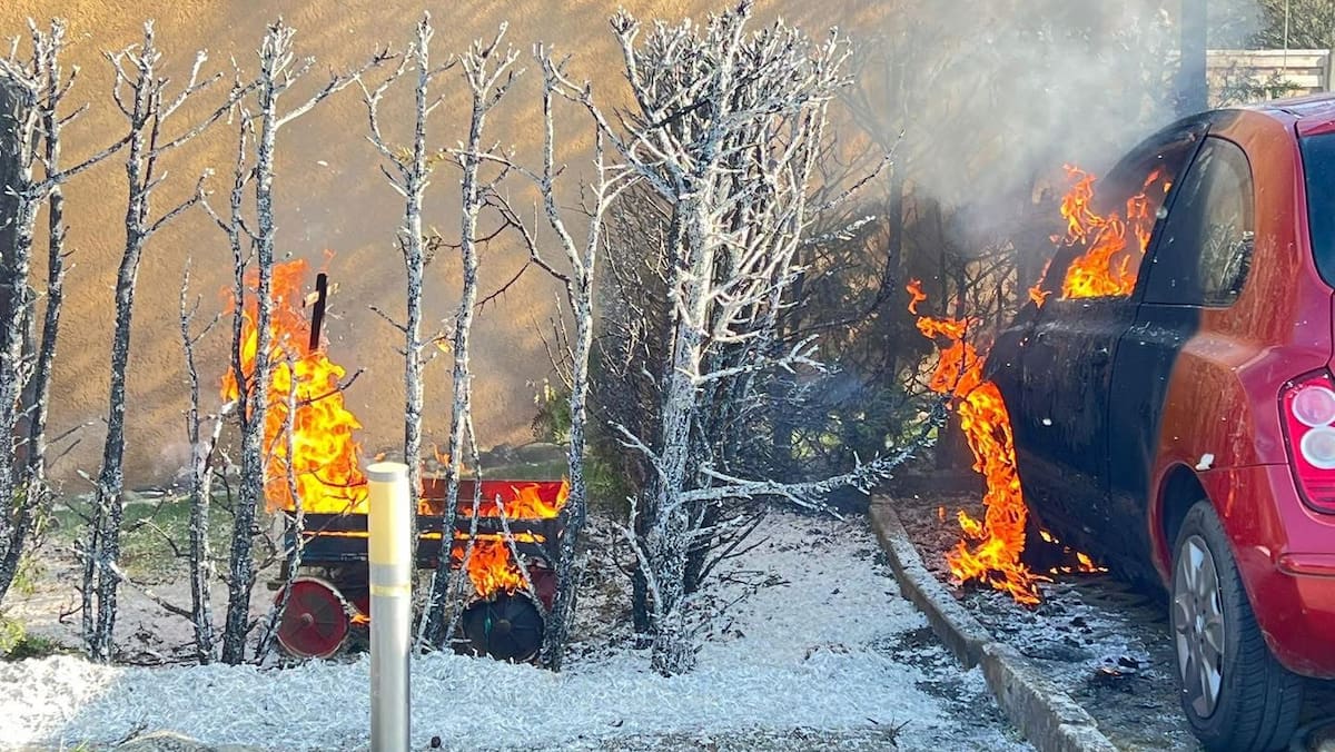 Johannes L (79) wollte nur Unkraut abfackeln  da brannten pltzlich seine  Hecke und sein Auto: Mein linkes Bein fing ebenfalls Feuer!