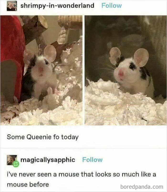 43 funny Tumblr posts that deserve to be seen again