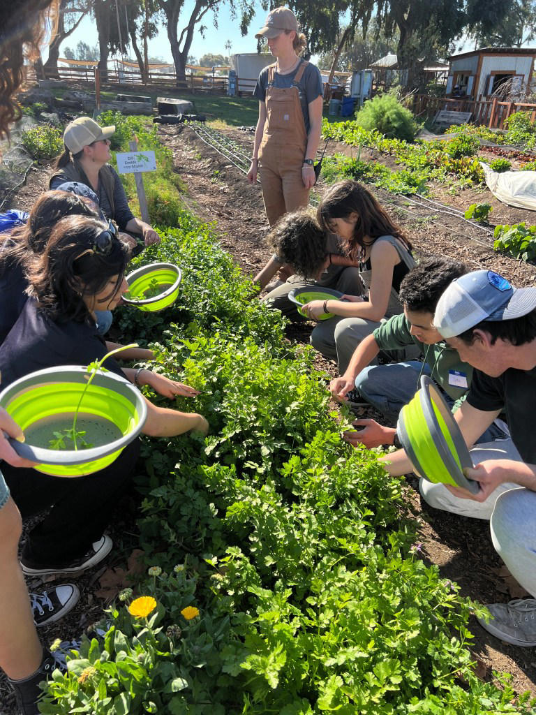 Helix Charter CTE program steers students towards life after school