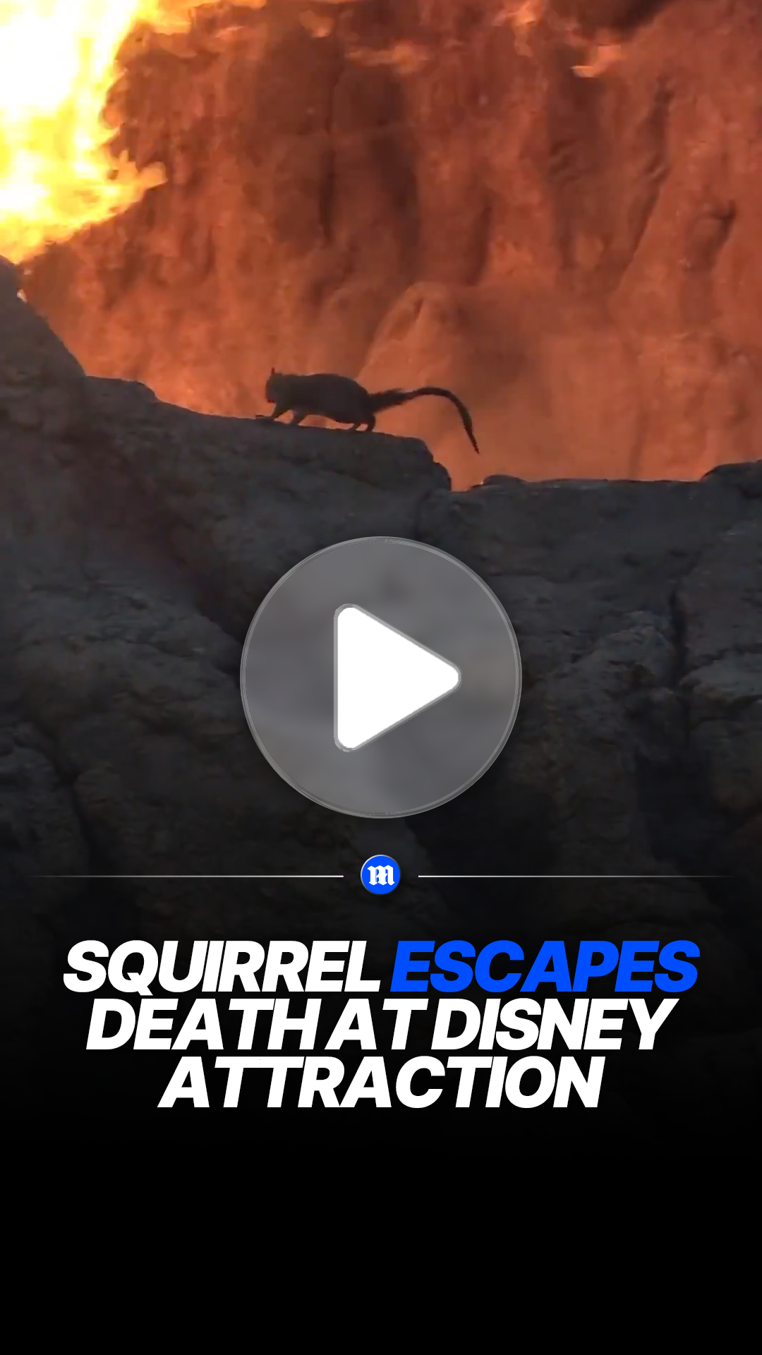 Squirrel narrowly escapes danger at Disney volcano attraction