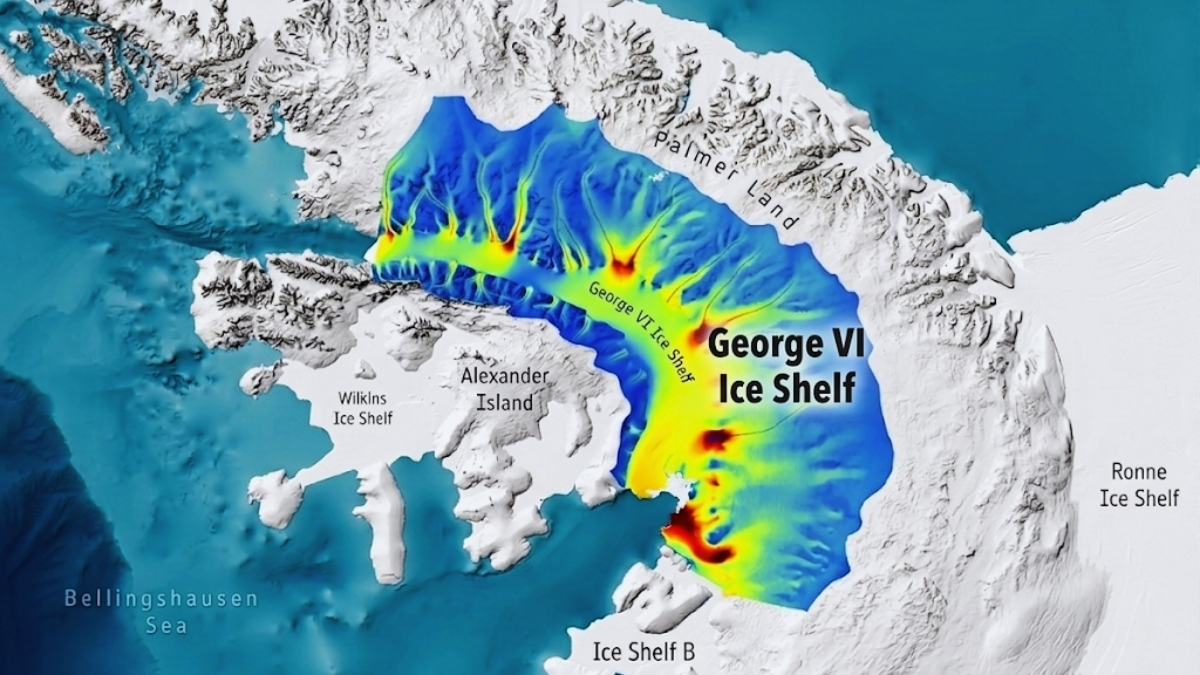 Where is the George VI Ice Shelf located?