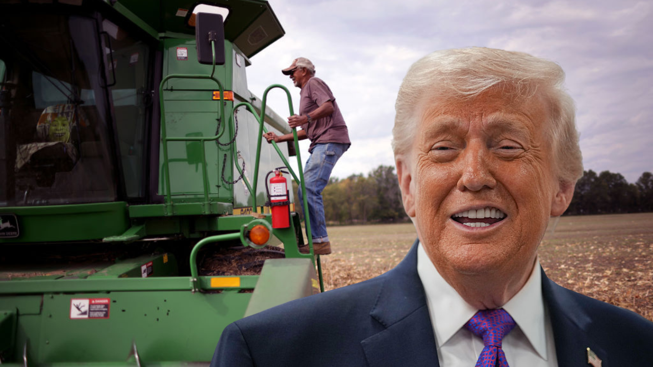 USDA cuts to $300M land-buying grant further starves Black farmers ...