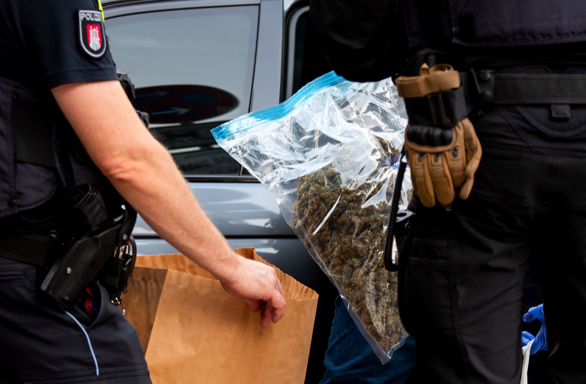 Mehr als 2,5 Kilo Cannabis bei Razzia entdeckt