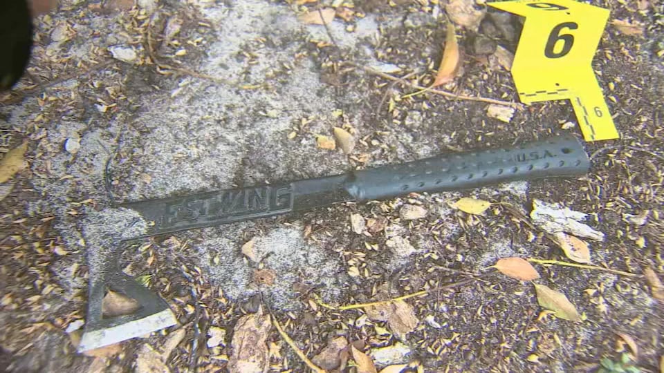 Hatchet-wielding man shot dead by police in Fruitland Park