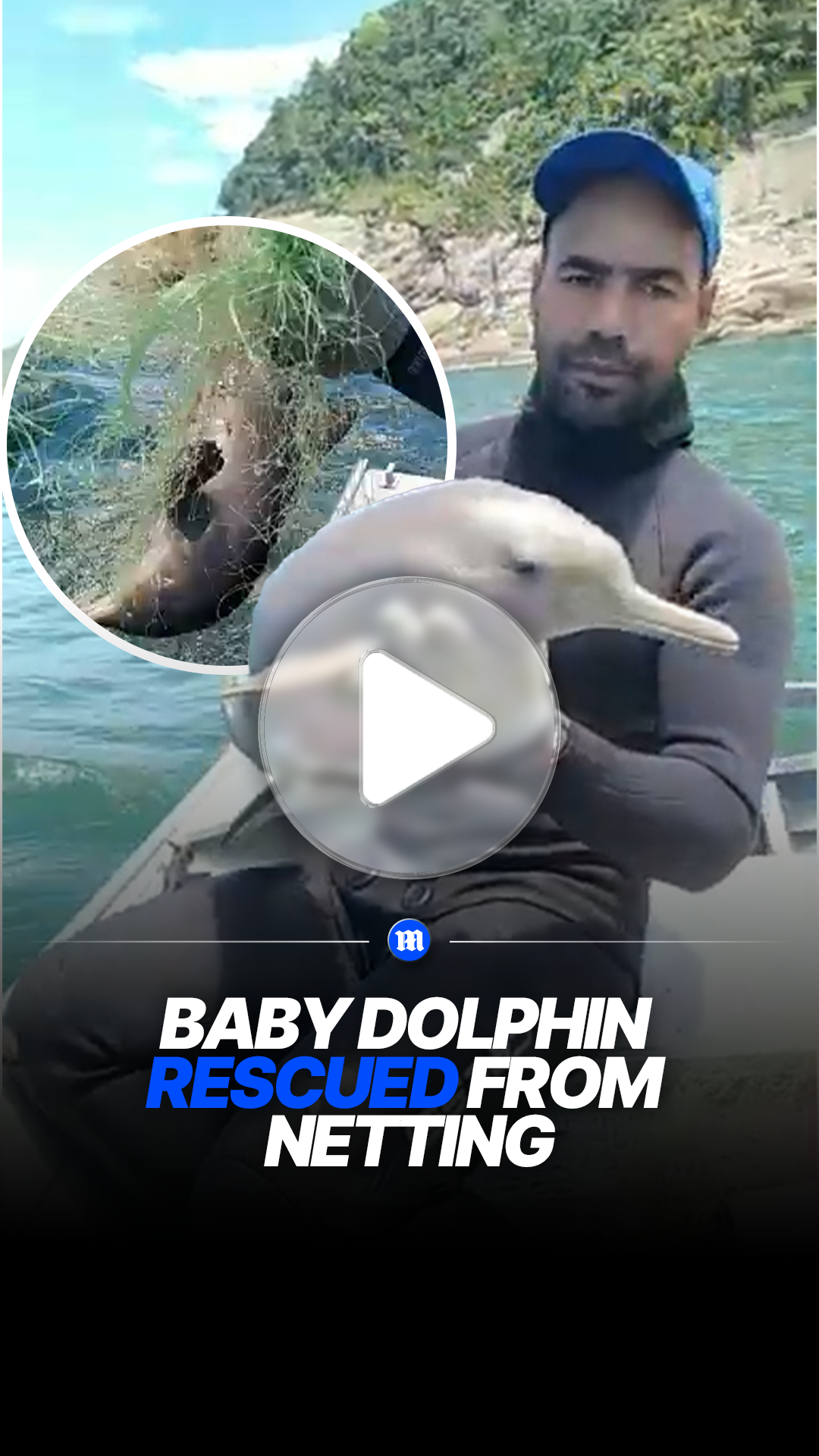 Man rescues baby dolphin tangled in netting