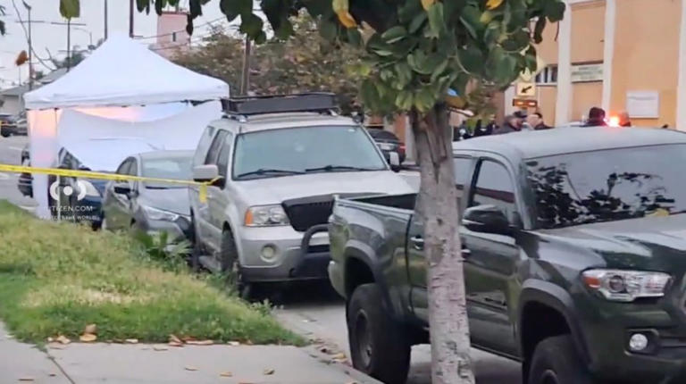 Police investigating possible fatal hit-and-run in South LA