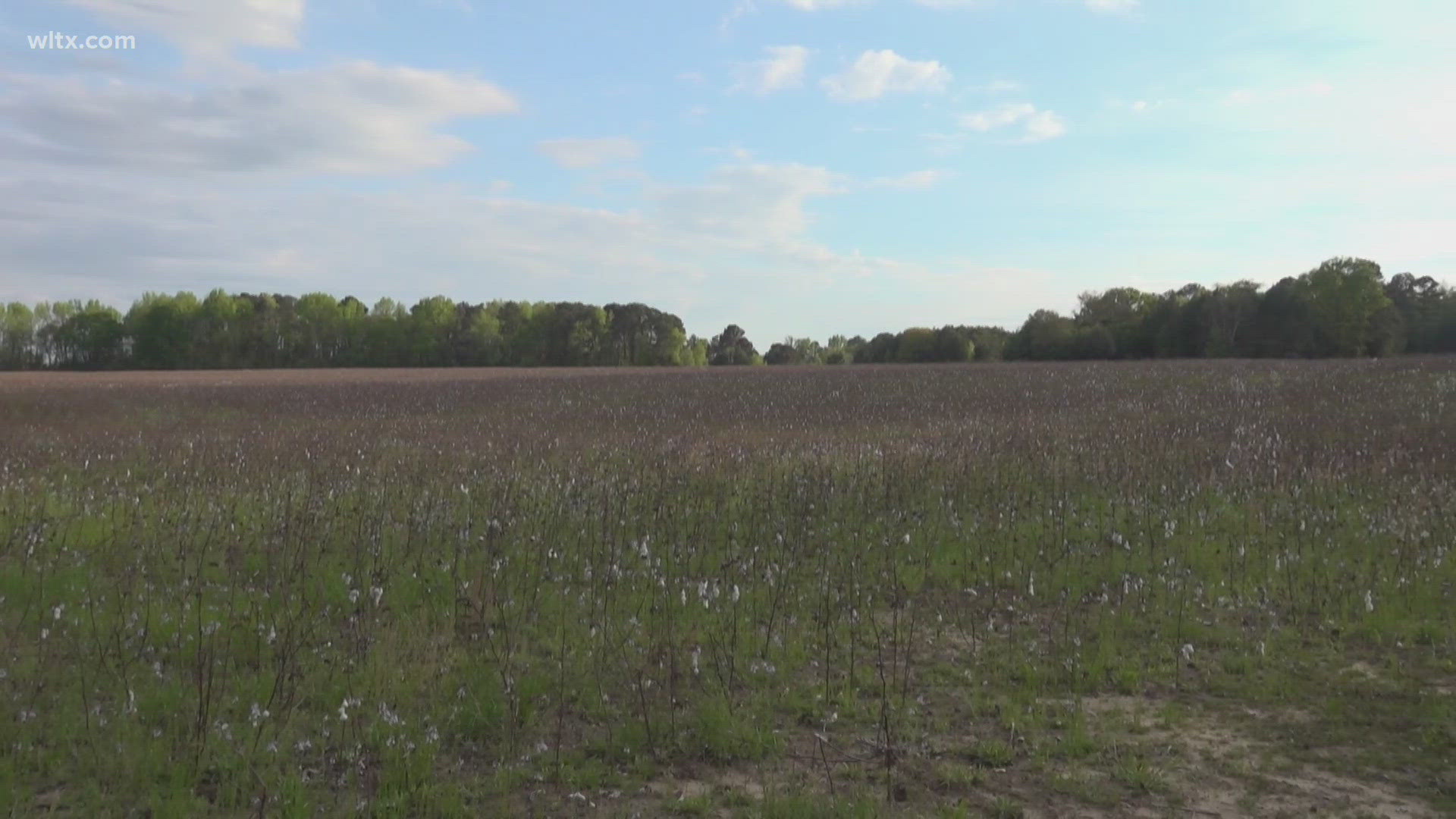 New housing developments moving forward in Sumter