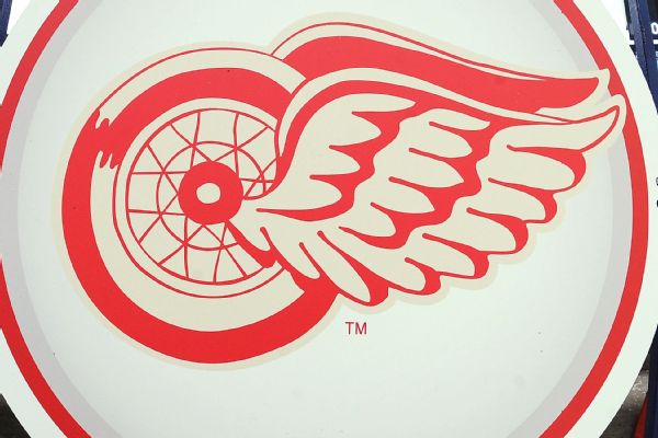 Red Wings sign Jacob Bernard-Docker to a 2-year, $3.2M extension