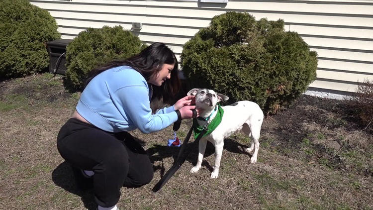 Owner reunites with dog after more than a decade