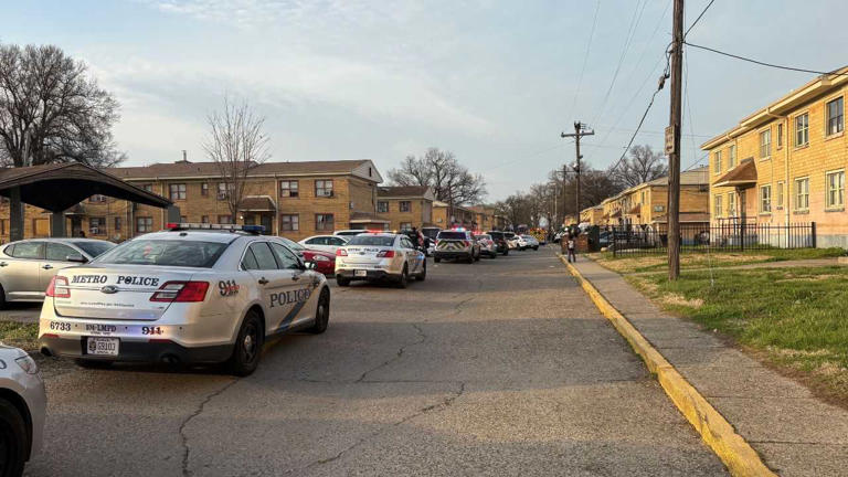 2 dead, 1 hospitalized after triple shooting in Algonquin; 13-year-old ...