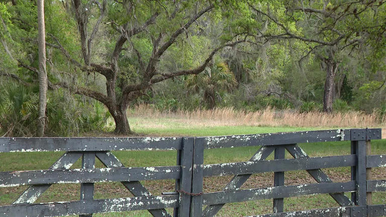 Hillsborough County neighbors share concerns over large Two Rivers ...