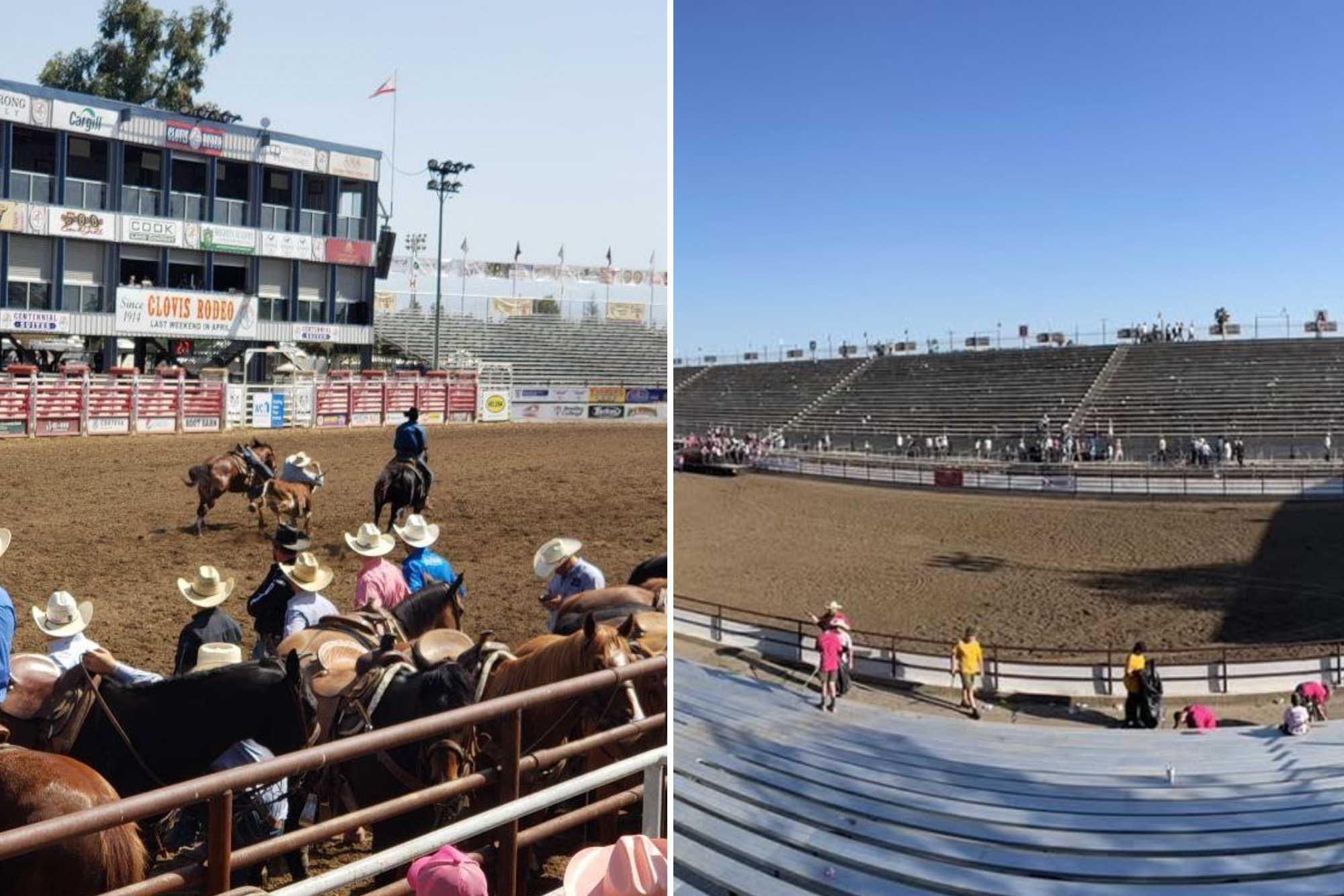 Sinister scam rocks popular rodeo: 'You gotta be sharp'
