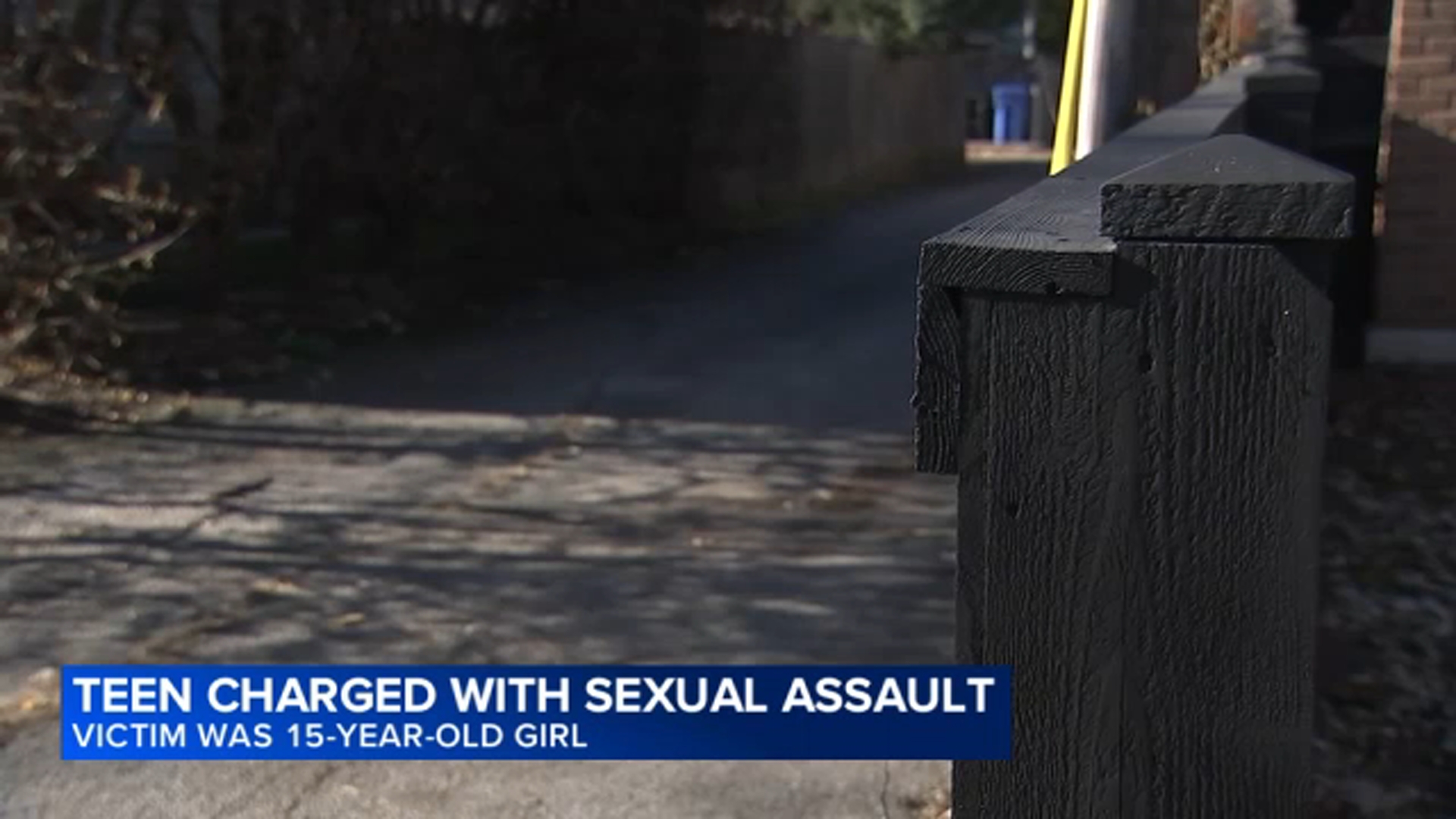 Teen boy charged after 15-year-old girl sexually assaulted at gunpoint ...