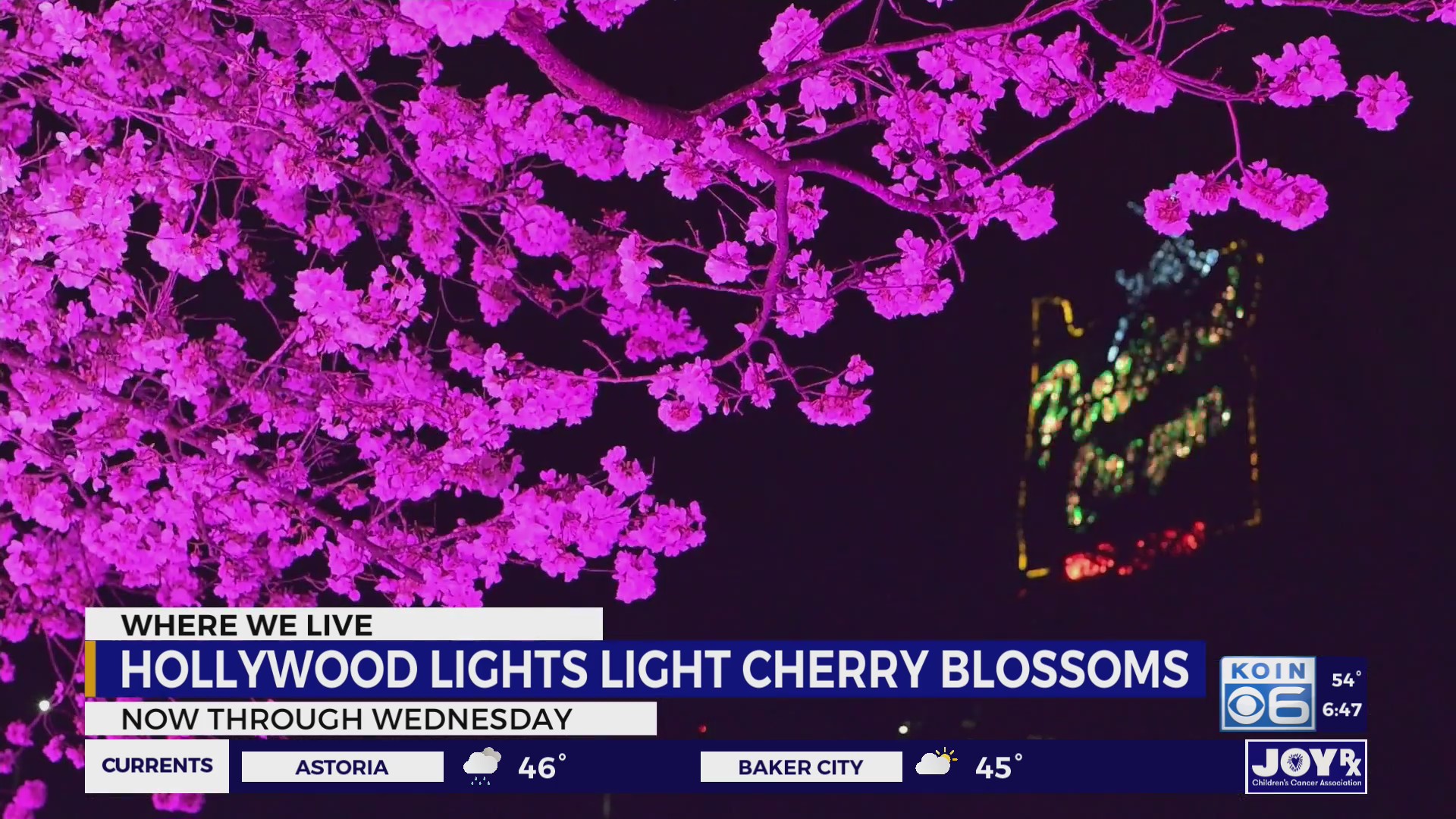 'Hollywood Lights' illuminate Portland's cherry blossoms