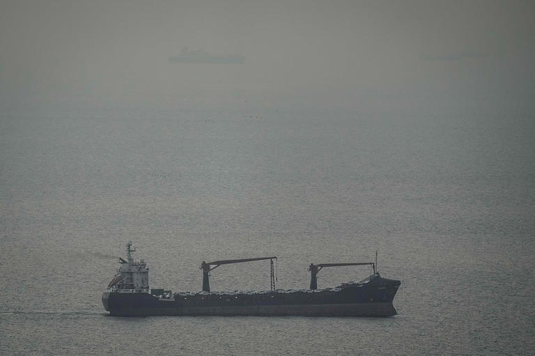 India Among Nations Allowed Passage Through Strait of Hormuz Amid Tensions