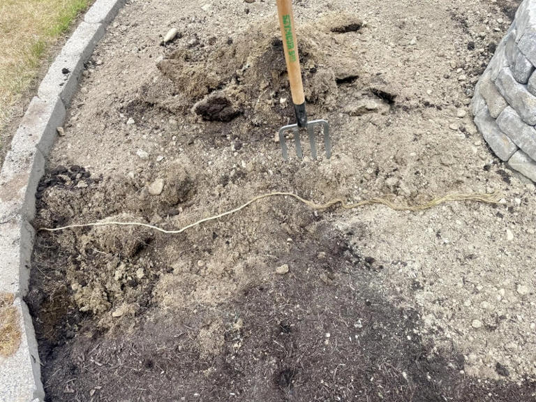 New homeowner discovers odd rope buried in yard after breaking ground ...