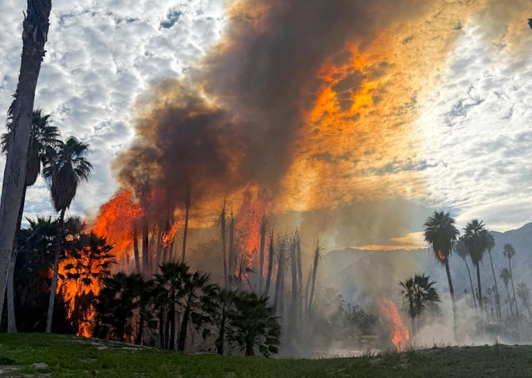 Palm Springs fire chief details response to Prescott Preserve blaze ...