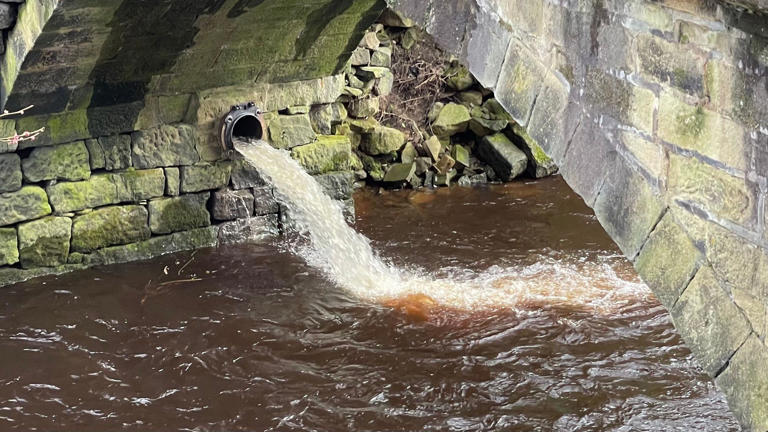 Yorkshire Water given lowest environmental rating
