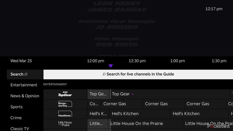 Roku Live TV Guide search.