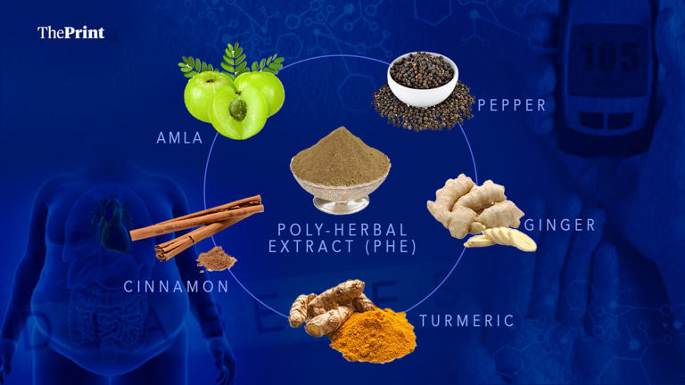 A 5-spice mix to fight long-term diabetes & obesity complications? ICMR ...