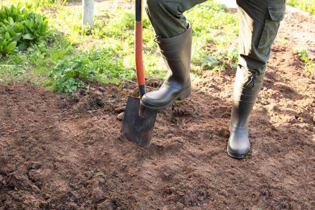 New homeowner discovers odd rope buried in yard after breaking ground ...