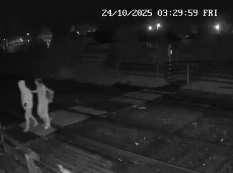 egklima-oualia-odigies-texnitis-noimosinis__1_