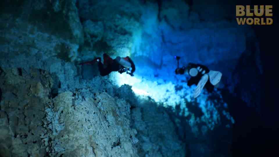 Watch what happens when they enter a hidden cave deep in the jungle