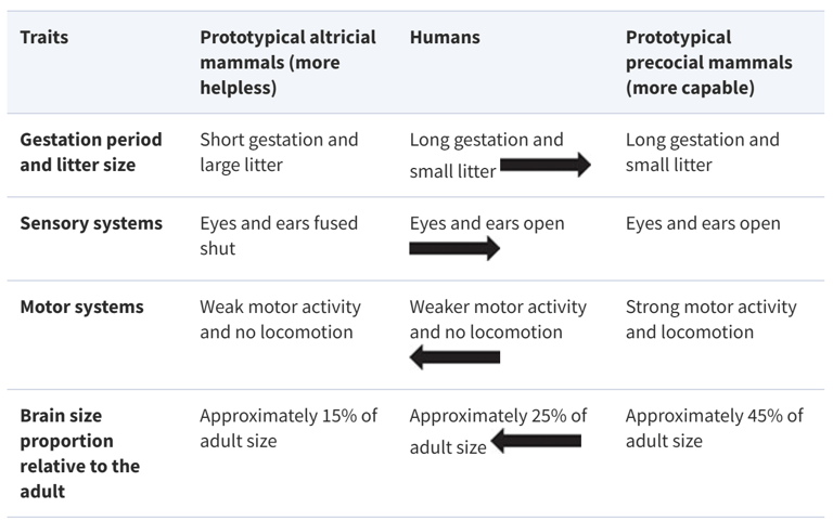 Why humans are helpless at birth and what it tells us about human nature