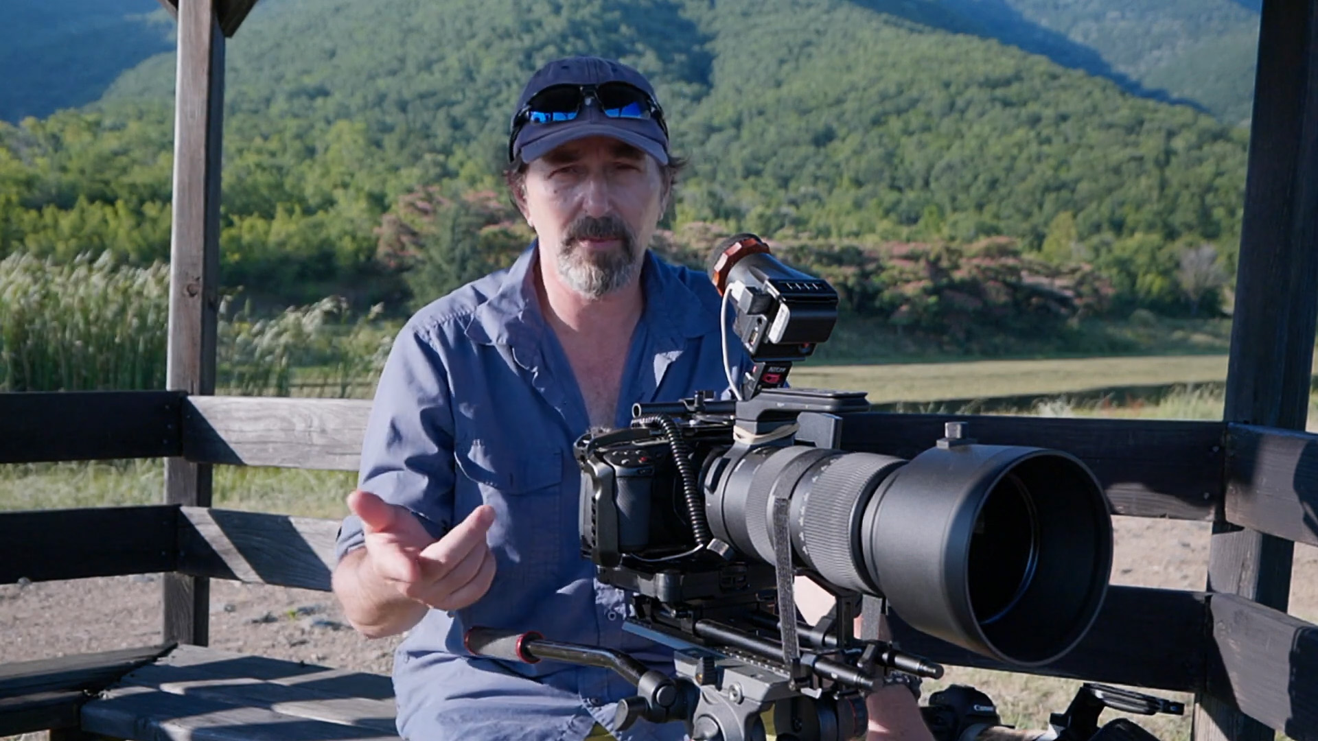 Essential technical and creative tips for wildlife filmmaking