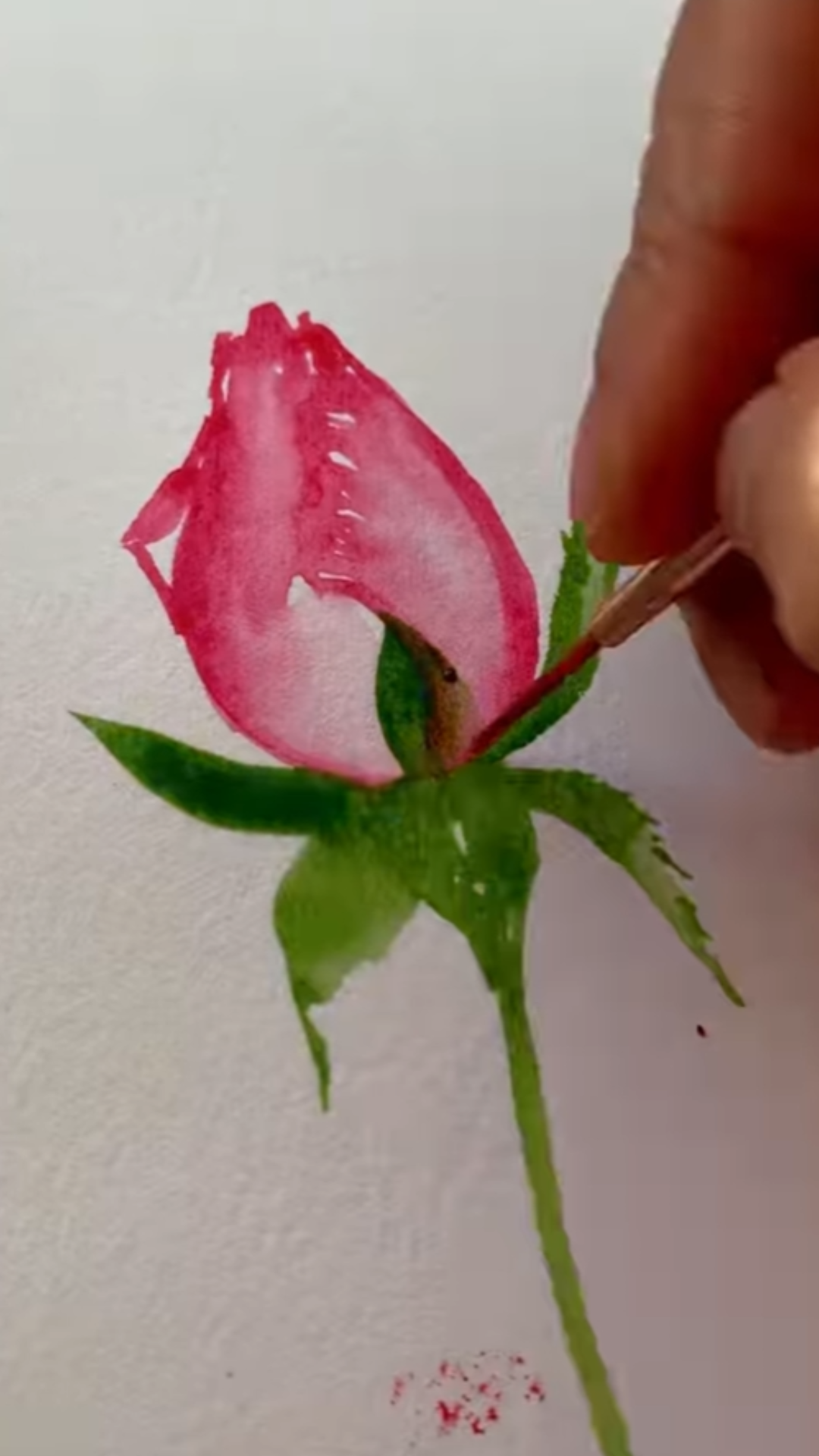 This blank canvas turns into something magical you won’t believe
