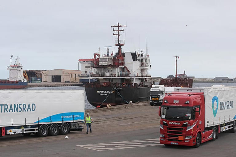 Despite sanctions: German company wants to build fuel elements with ...