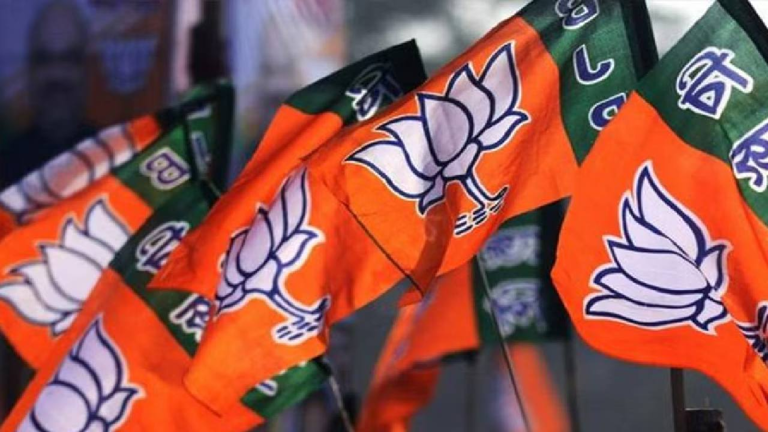 Donations to national parties surged 161% in FY25, BJP accounted for ...