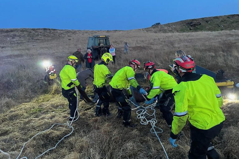 Pregnant horse rescued from a hazardous bog