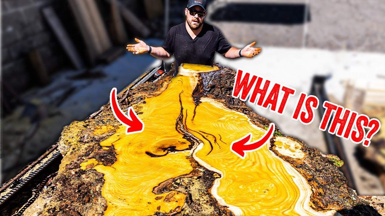 They almost passed on this ugly burl tree — then the sawmill hit gold