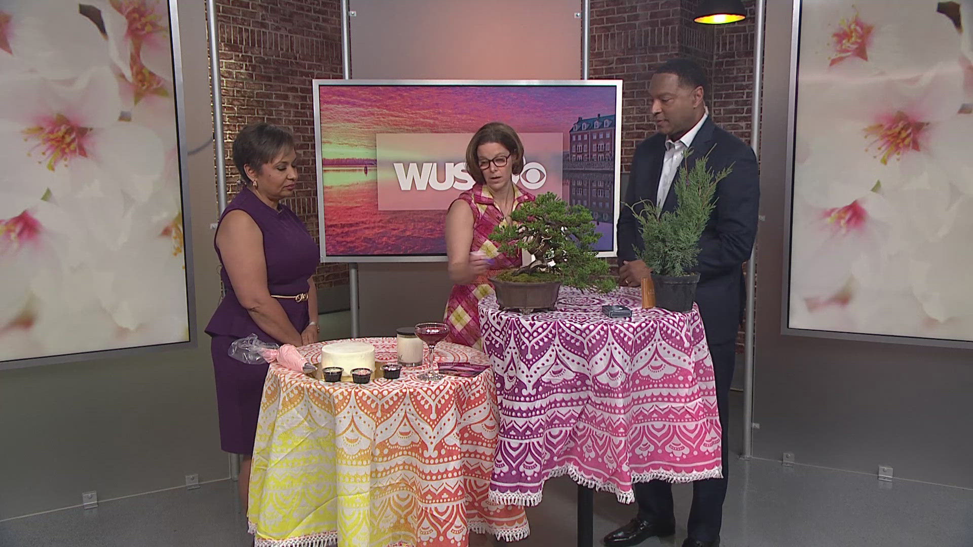 National Harbor launches cherry blossom events