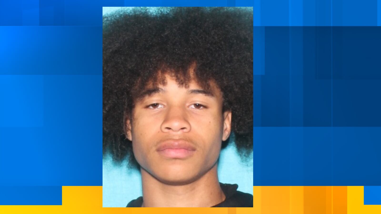 Knoxville shooting suspect in custody, police say