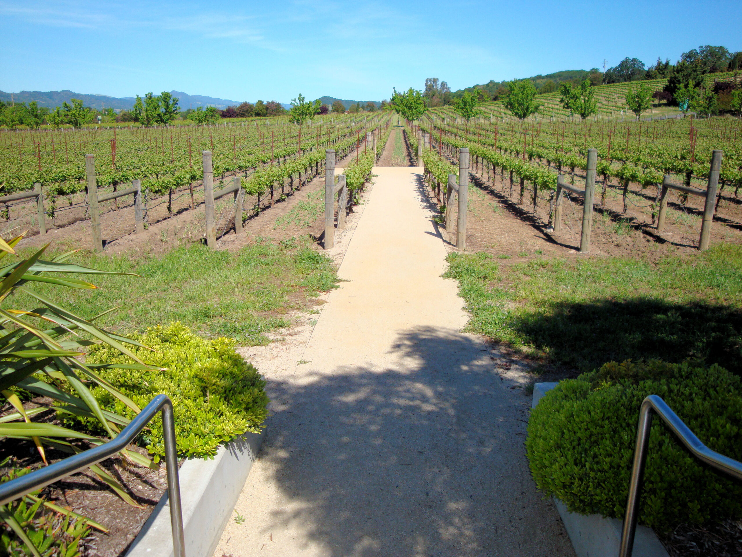 Photo inspiration: Picture Idea: 17 Luxury Food And Wine Pairing Retreats Worldwide