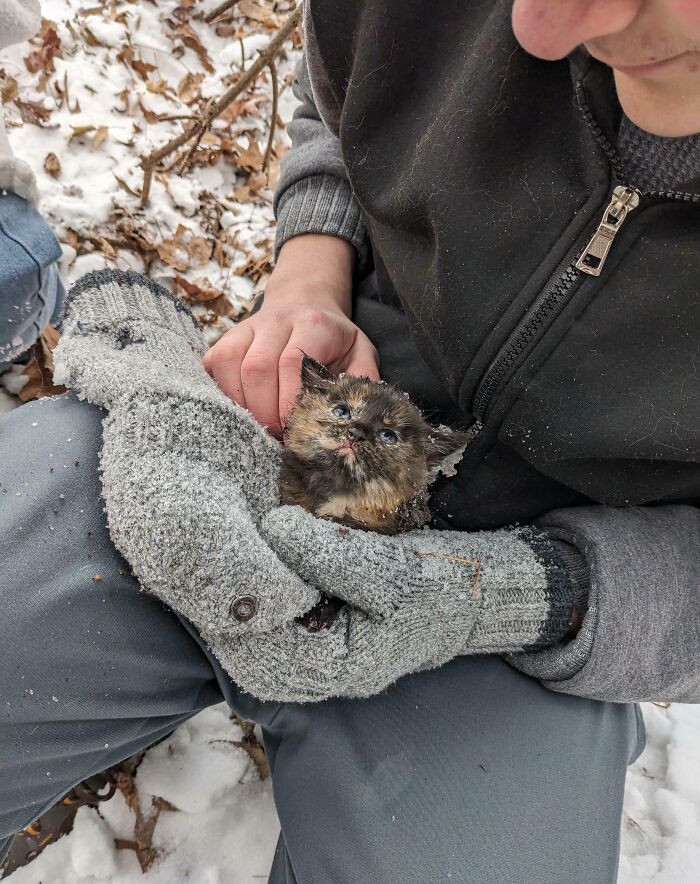 66 People Who Saved Animals And Gave Them A Second Chance At Life