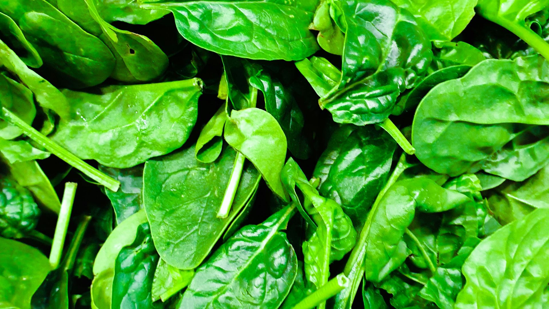 10 foods that may improve fertility in women & 10 that may increase it ...