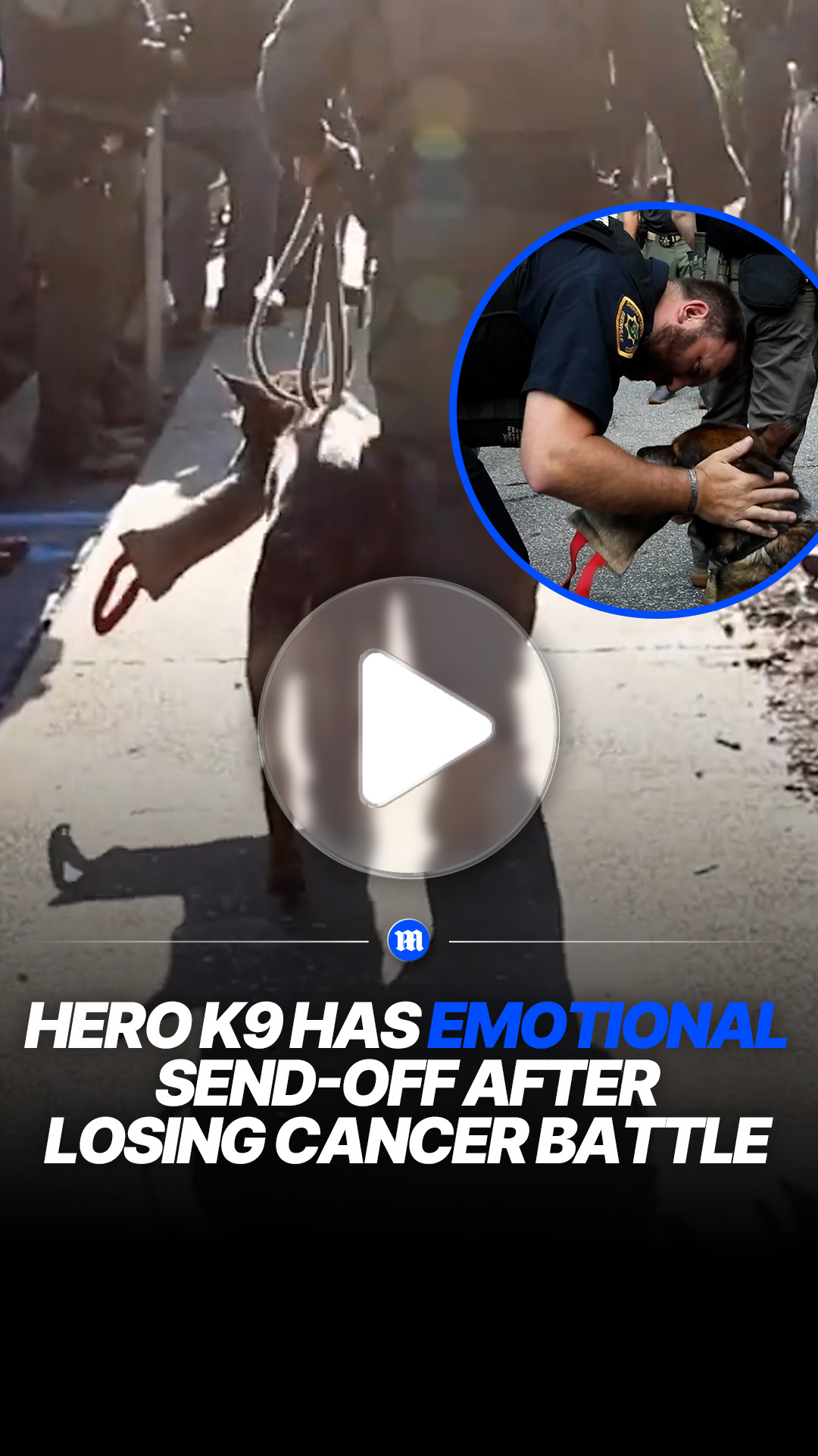 Police K9 honored in emotional final farewell