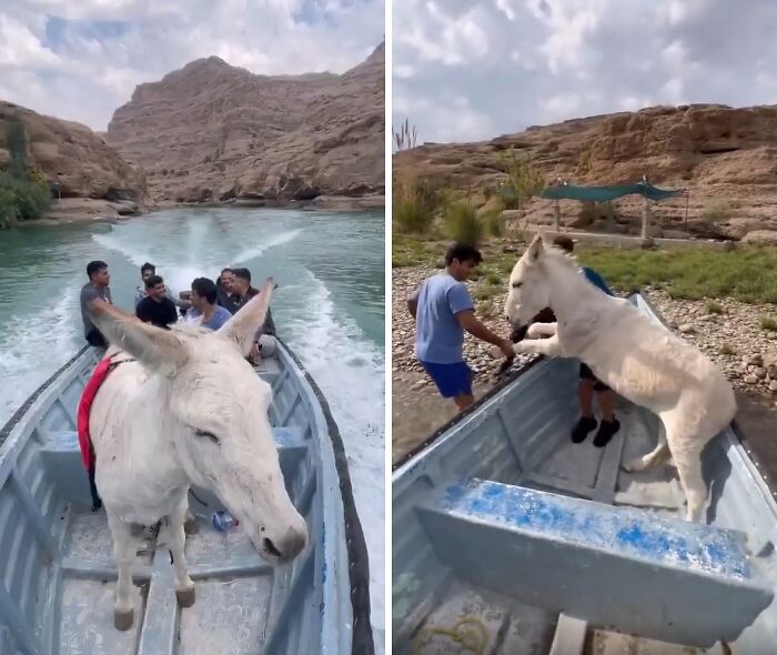 66 People Who Saved Animals And Gave Them A Second Chance At Life